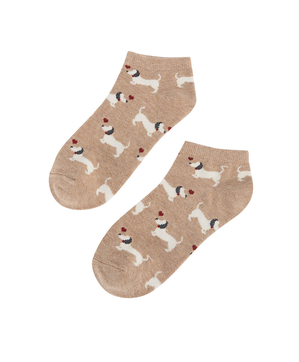Pack 5 medias mujer perritos