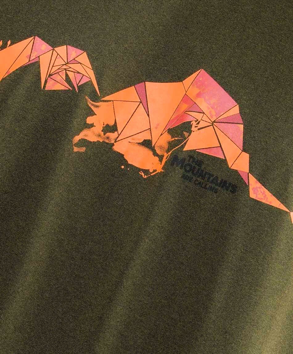 Remera hombre dry fit print monta&ntilde;a