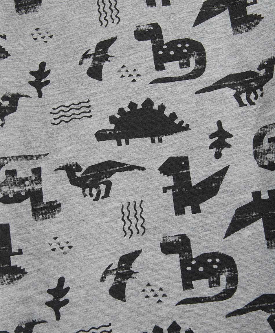 Remera beb&eacute; manga larga dinosaurios