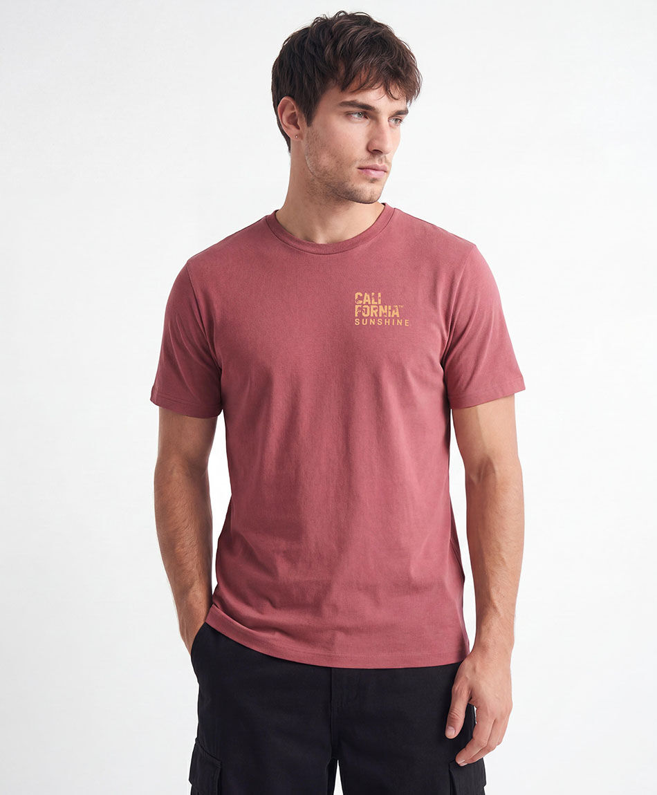 Remera hombre doble estampado california nature