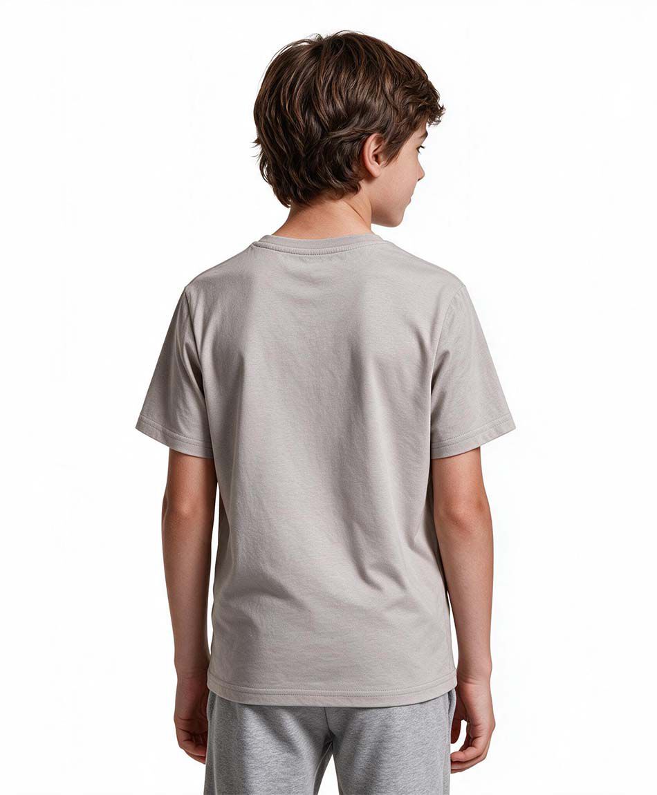 Remera ni&ntilde;o estampados
