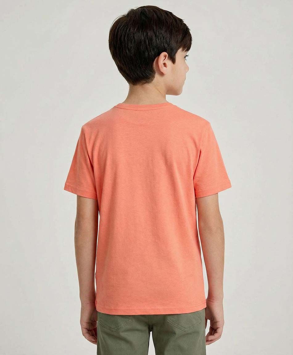 Remera ni&ntilde;o skate good times