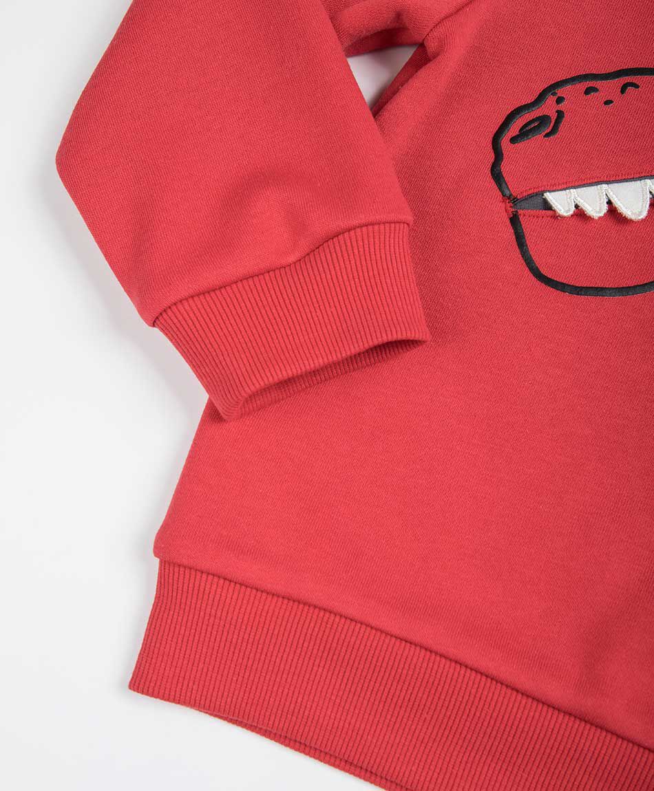 Set buzo beb&eacute; dinosaurio