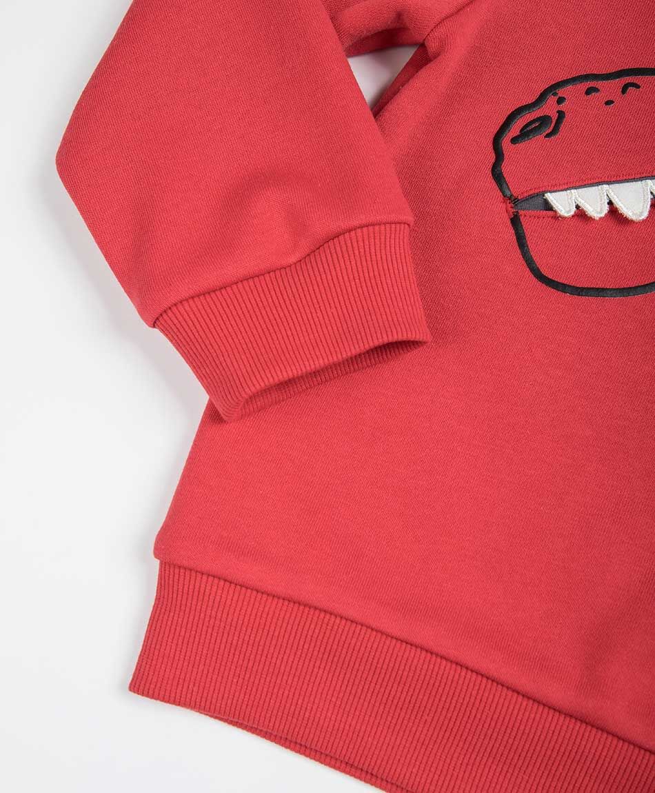 Set buzo beb&eacute; dinosaurio