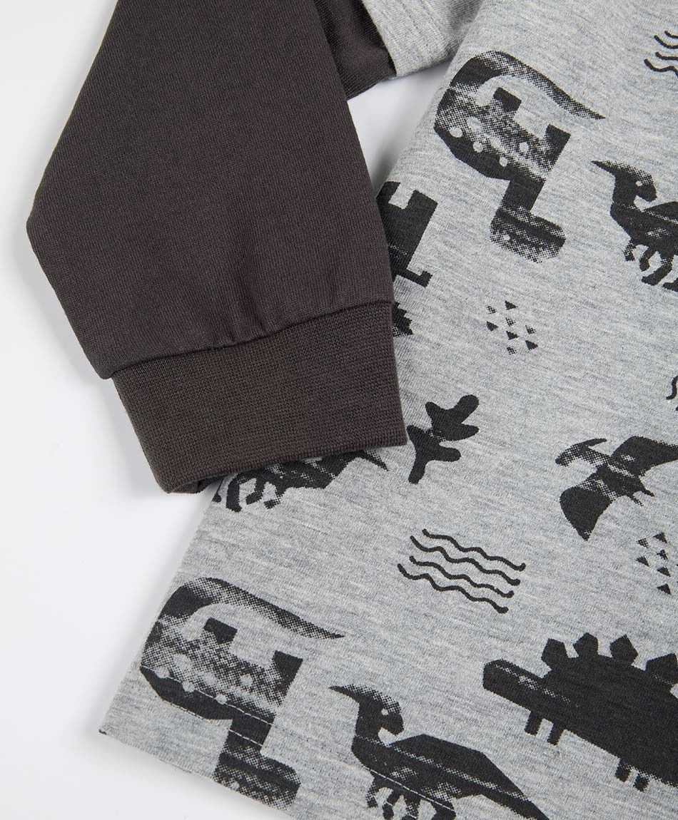 Remera beb&eacute; manga larga dinosaurios