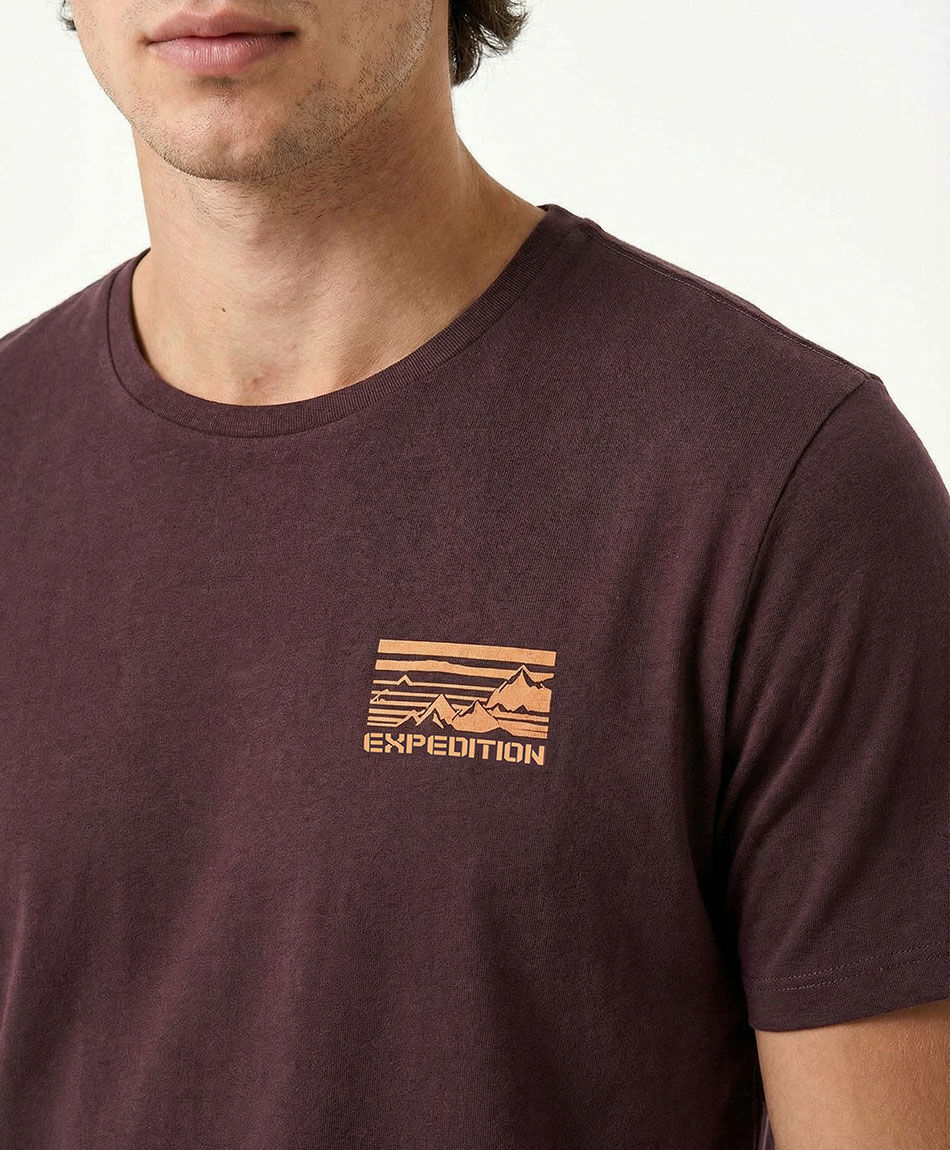 Remera hombre estampado expedition