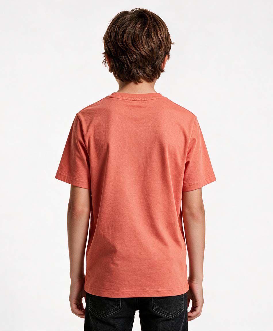 Remera ni&ntilde;o skate