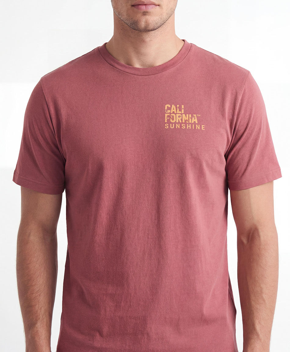 Remera hombre doble estampado california nature
