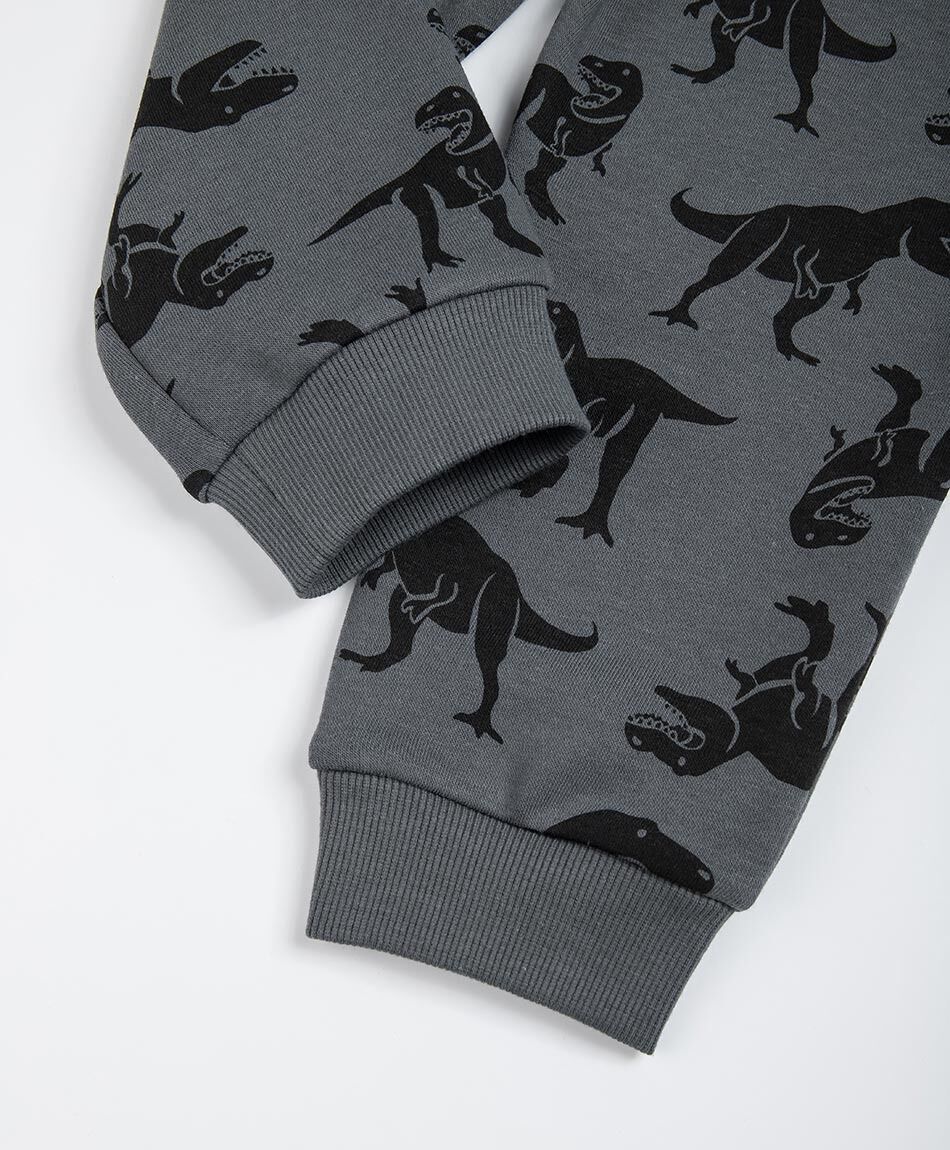 Buzo beb&eacute; dinosaurios