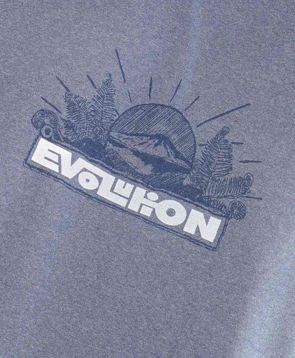 Remera hombre dry fit print evolution