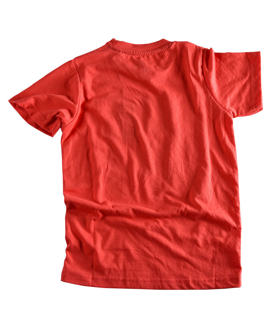 Polera estampada