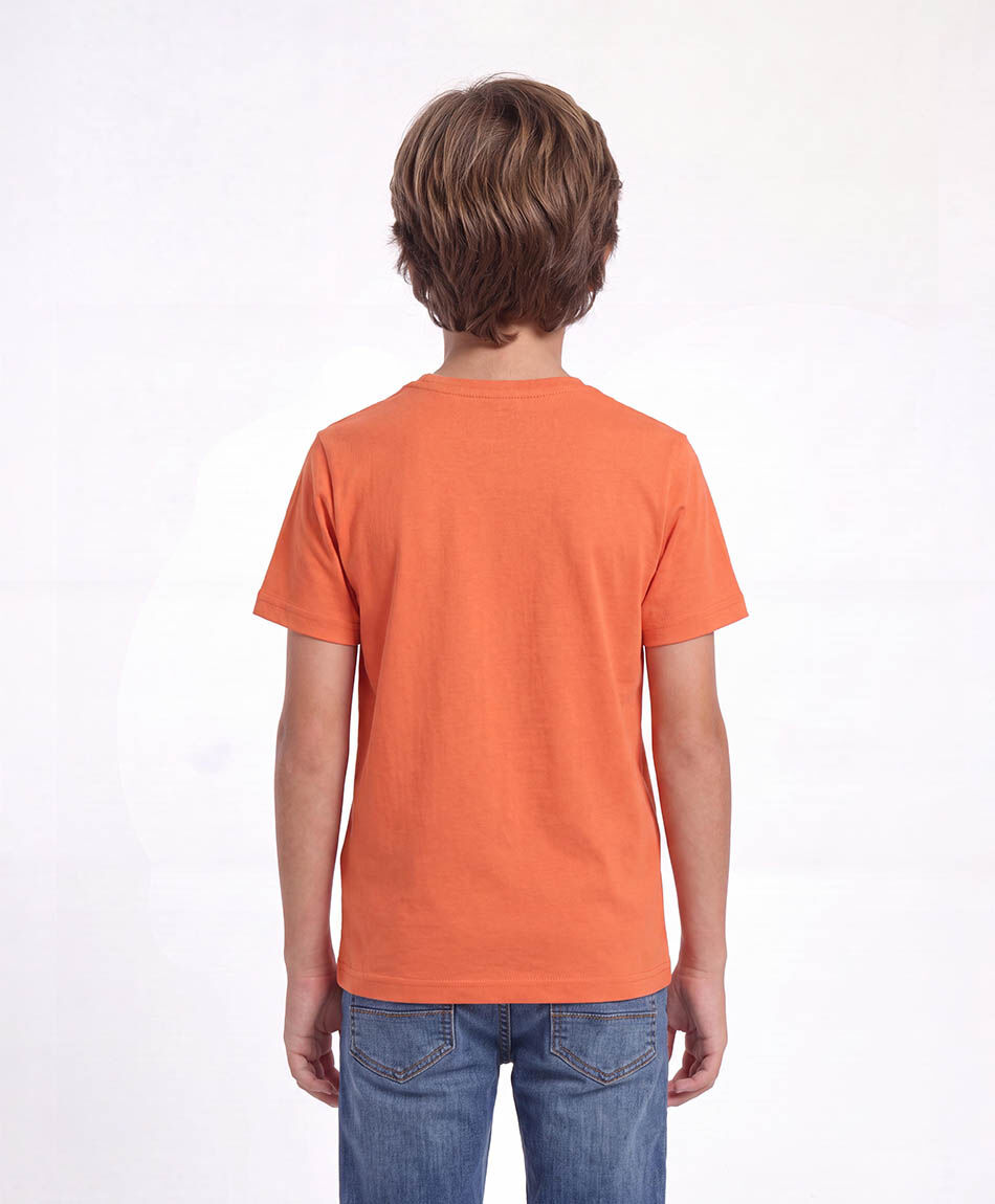 Remera ni&ntilde;o skate fever