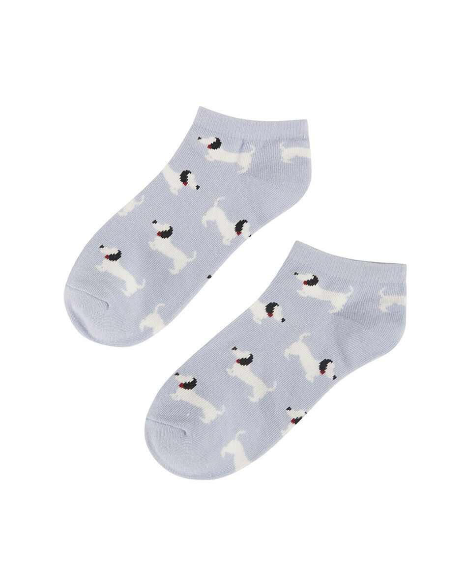 Pack 5 medias mujer perritos