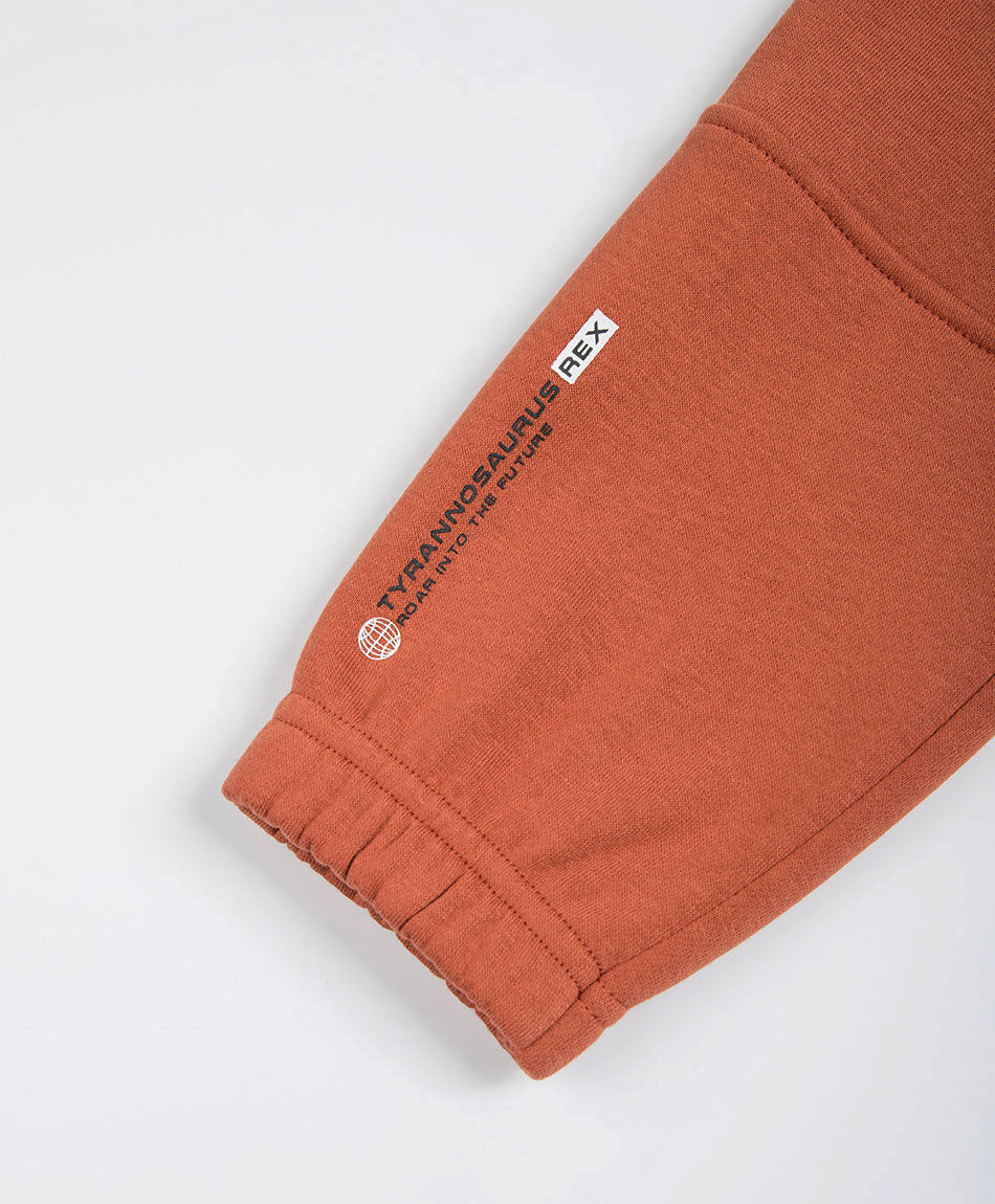 Pantal&oacute;n beb&eacute; buzo dinorex