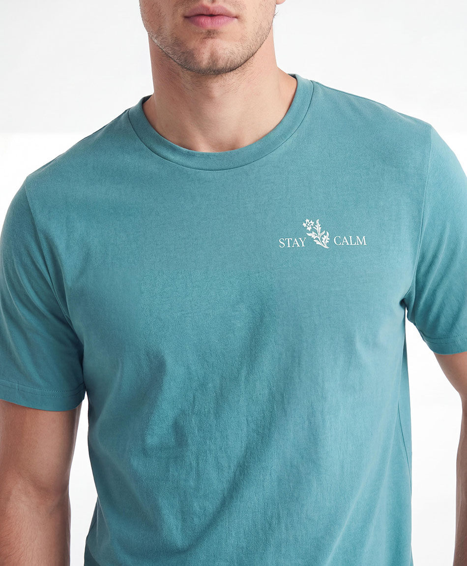 Remera hombre stay calm