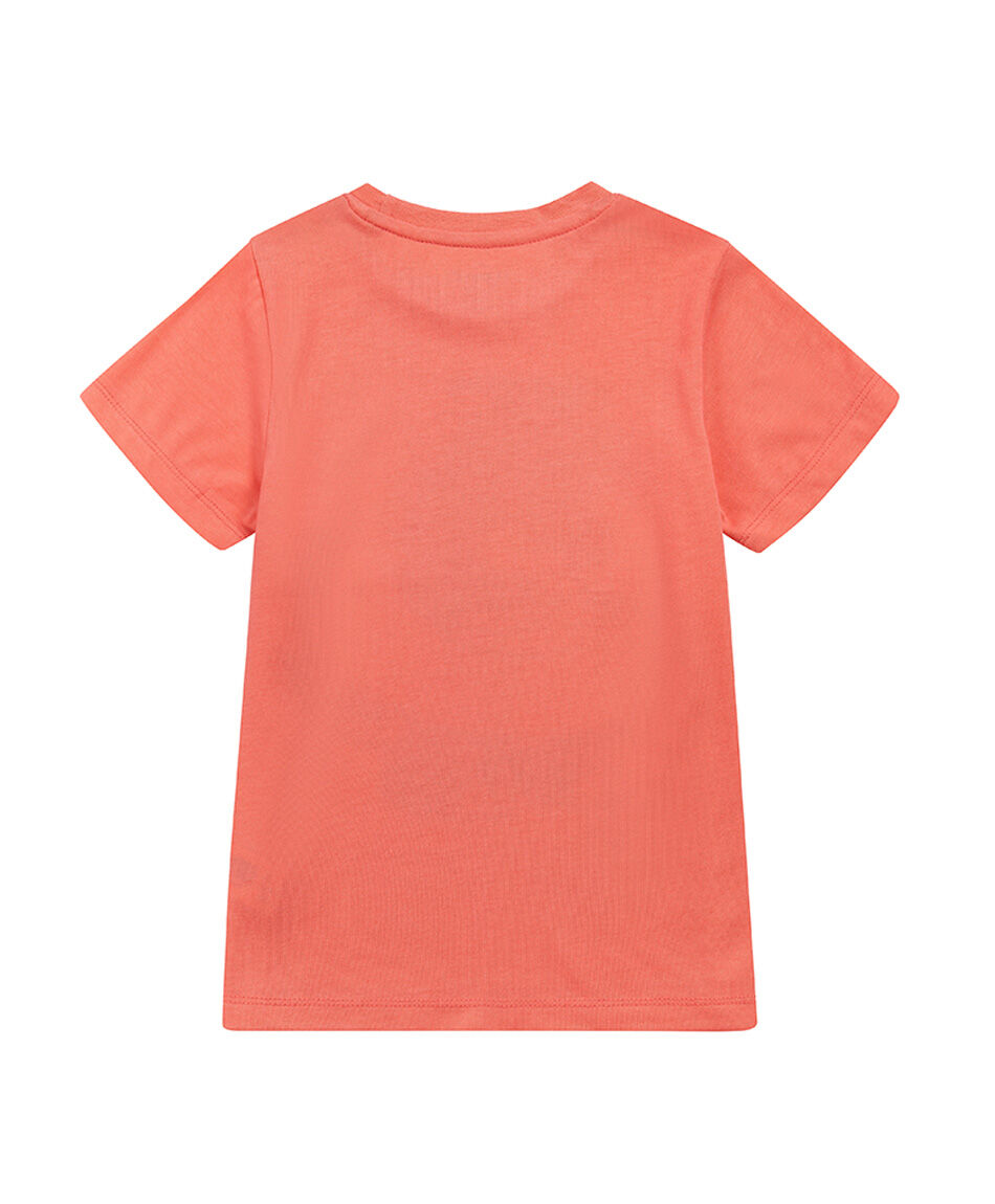 Remera beb&eacute; dinosaurio flotador