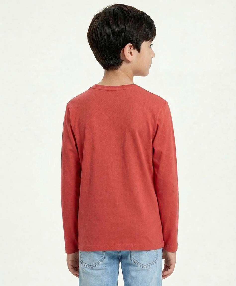 Remera ni&ntilde;o estampada deportes balones