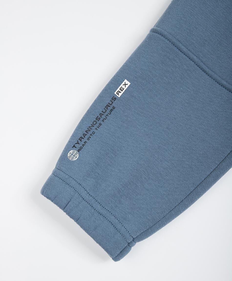 Buzo beb&eacute; t-rex